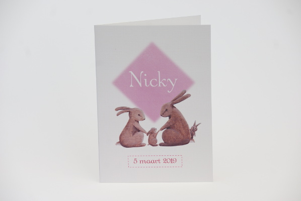 geboortekaartje nicky lichtroze